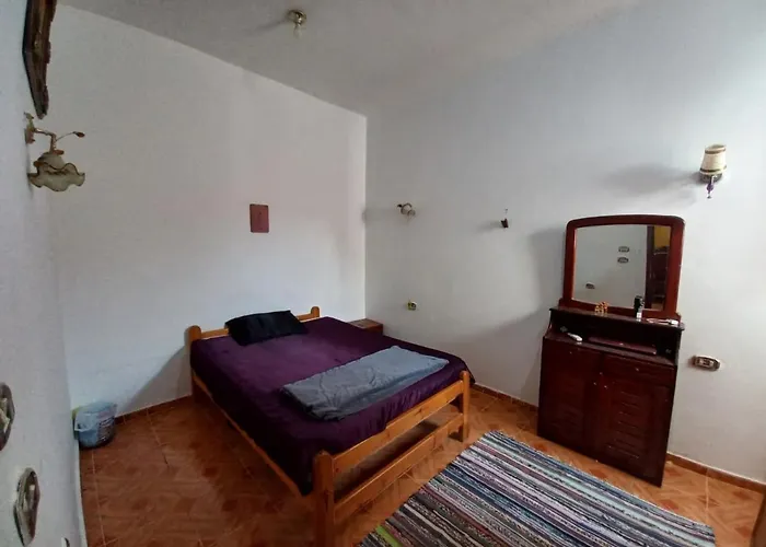 Honey Hostel *